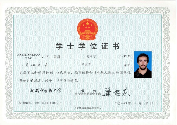 Chengdu University — Academic Transcript