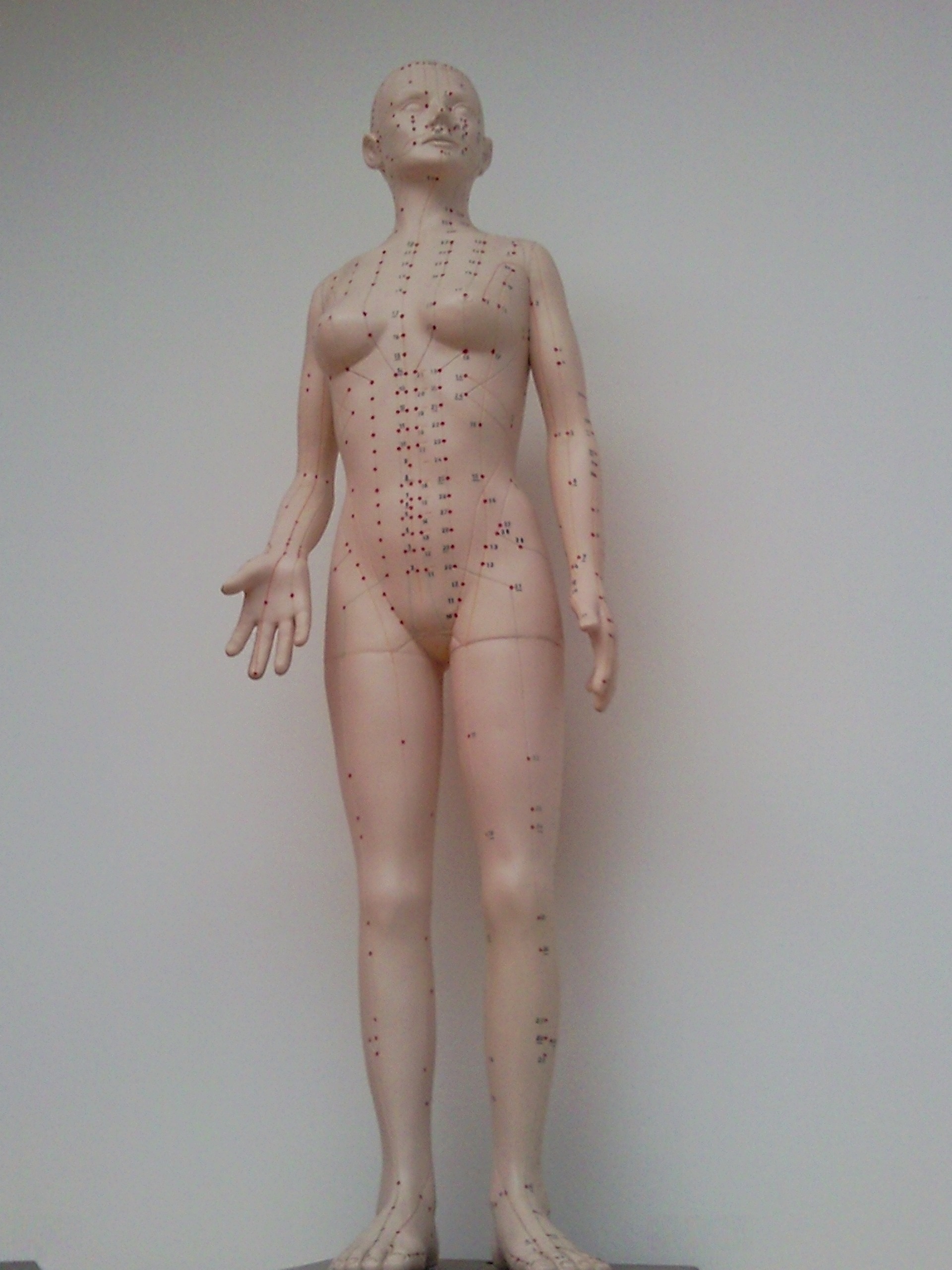 Acupuncture and Chronic Pain: A TCM Perspective
