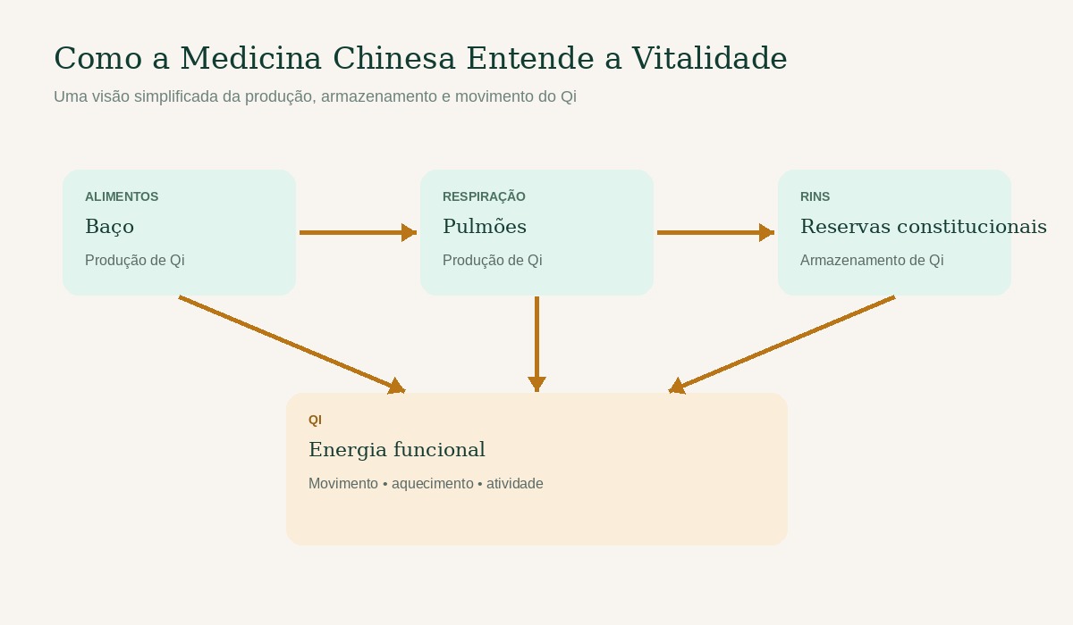 Diagrama simplificado a mostrar como a medicina chinesa descreve a produção de Qi a partir dos alimentos e da respiração, o armazenamento nos Rins, e a energia funcional